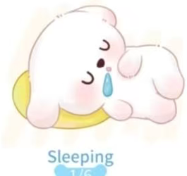 CP 1 Puppy diary 0909
