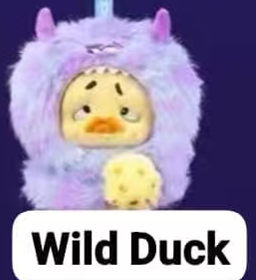 CP 10 Upset duck colorful player 0915