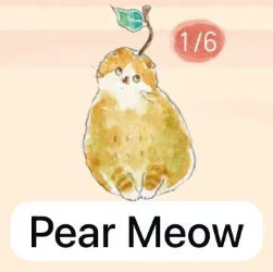 CP 1 Comugi Fruit Cat Cat 0919