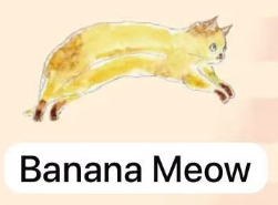 CP 1 Comugi Fruit Cat Cat 0919