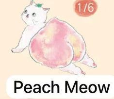 CP 1 Comugi Fruit Cat Cat 0919