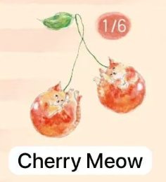 CP 1 Comugi Fruit Cat Cat 0919