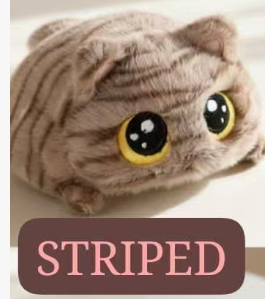 CP1 Chubby cat 0920