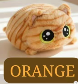 CP1 Chubby cat 0920