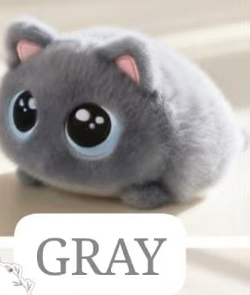 CP1 Chubby cat 0920