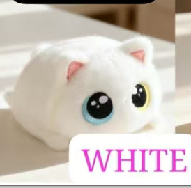 CP1 Chubby cat 0920