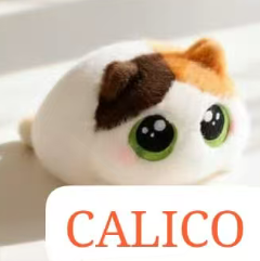 CP1 Chubby cat 0920