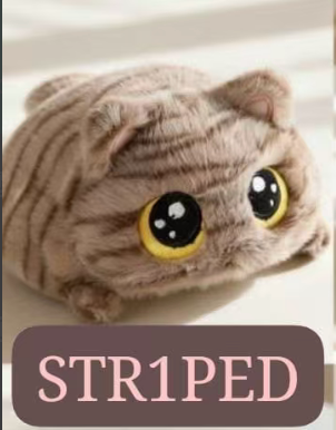 CP2 Chubby cat 0821