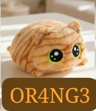 CP2 Chubby cat 0821
