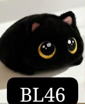 CP2 Chubby cat 0821