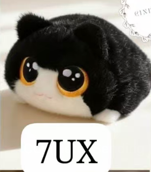 CP2 Chubby cat 0821