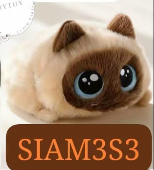 CP2 Chubby cat 0821