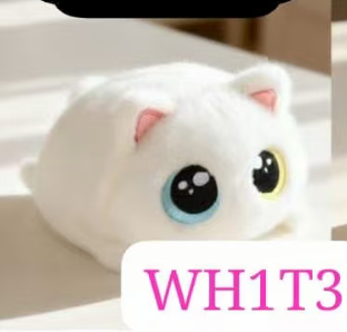 CP2 Chubby cat 0821