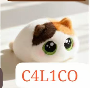 CP2 Chubby cat 0821