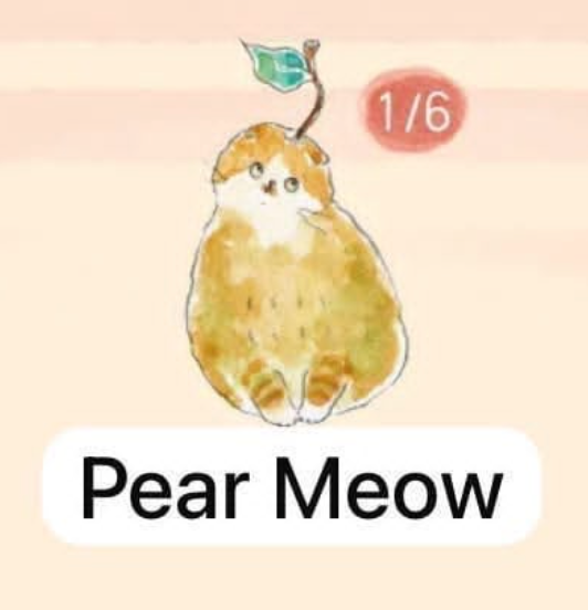 CP 3  Comugi Fruit Cat Cat  0922