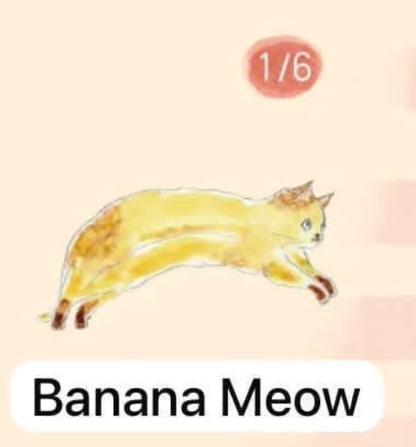 CP 3  Comugi Fruit Cat Cat  0922