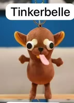 CP1 Chihuahua  0927