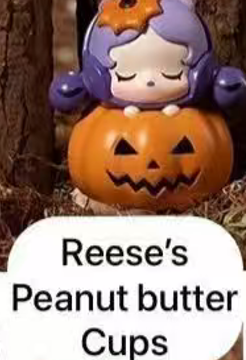 CP9 Popbean pumpkin 0927