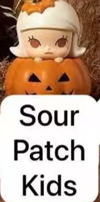 CP9 Popbean pumpkin 0927