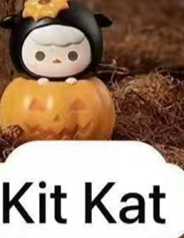 CP9 Popbean pumpkin 0927