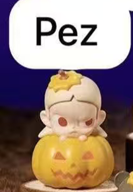 CP8 Popbean pumpkin 0927