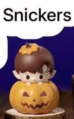CP8 Popbean pumpkin 0927