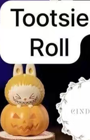 CP8 Popbean pumpkin 0927