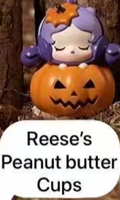 CP8 Popbean pumpkin 0927