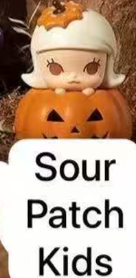 CP8 Popbean pumpkin 0927
