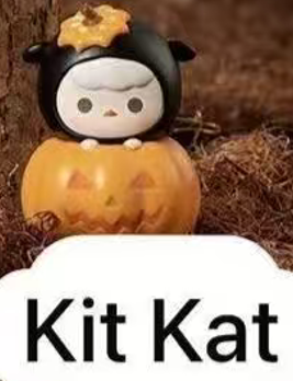 CP8 Popbean pumpkin 0927
