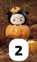 CP11 Popbean pumpkin 0930