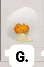 CP2 Egg 1009