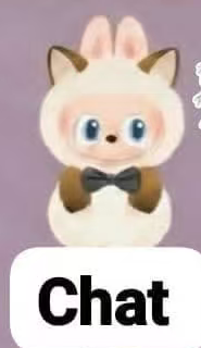 cp 8 Labubu cat mode 1014