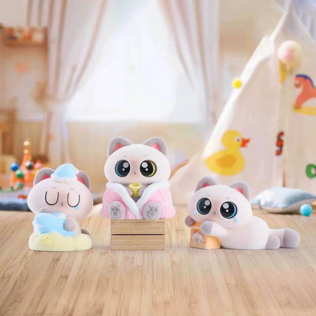 Emotionally stable siamese cat 2pvc