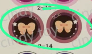 special claim for Tiana