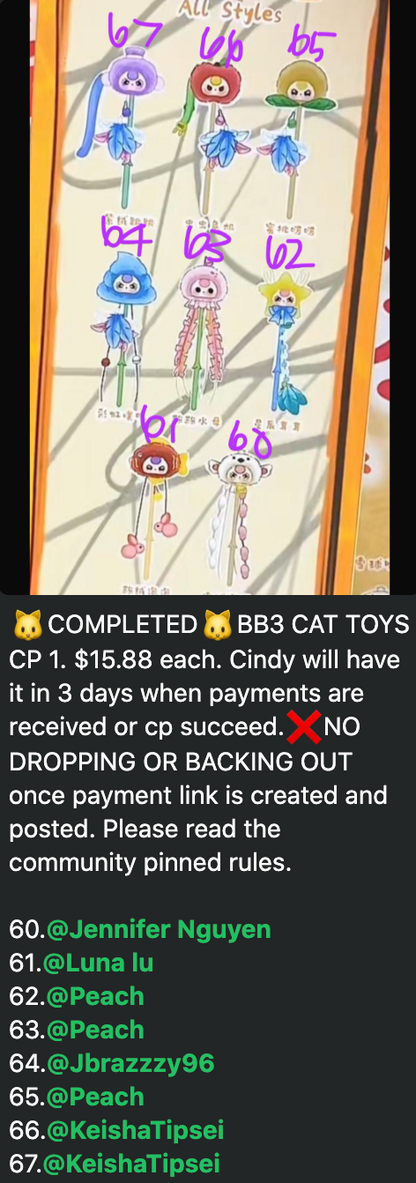 1 cp BB3 CAT TOYS 0729