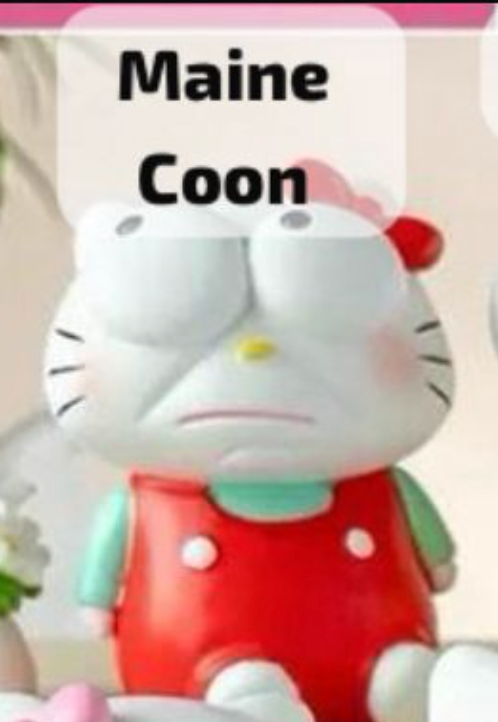 cp 1 Crazy Hello Kitty 0909