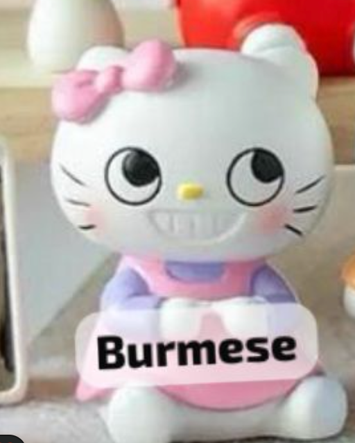 cp 1 Crazy Hello Kitty 0909