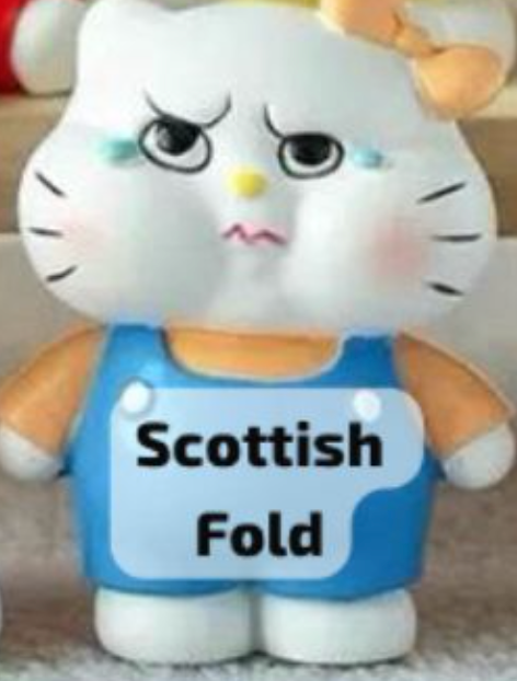 cp 1 Crazy Hello Kitty 0909