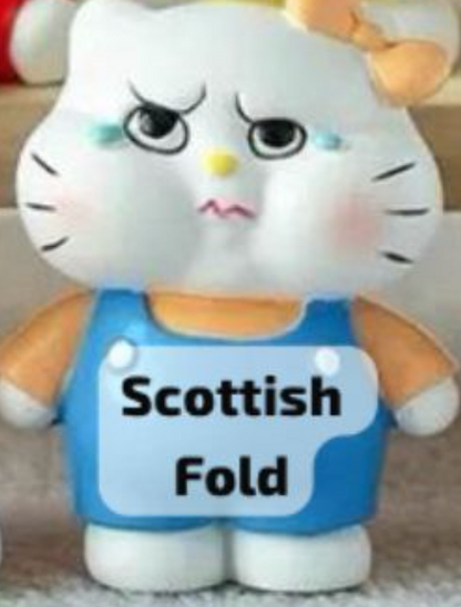 cp 1 Crazy Hello Kitty 0909