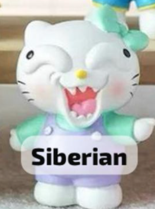 cp 1 Crazy Hello Kitty 0909