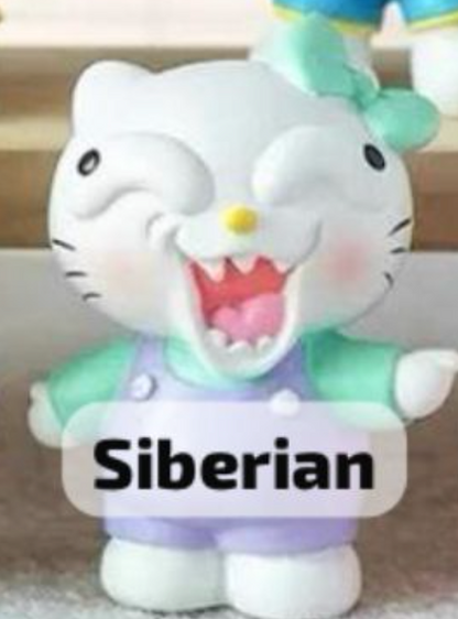 cp 1 Crazy Hello Kitty 0909