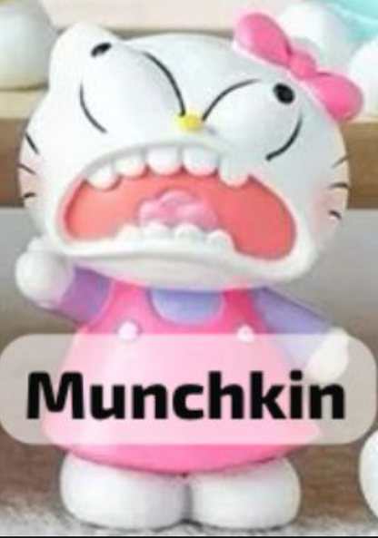 cp 1 Crazy Hello Kitty 0909