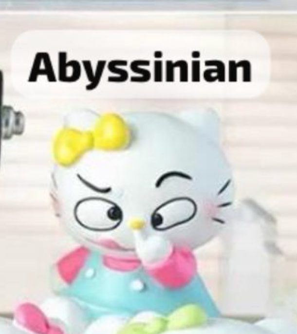 cp 1 Crazy Hello Kitty 0909