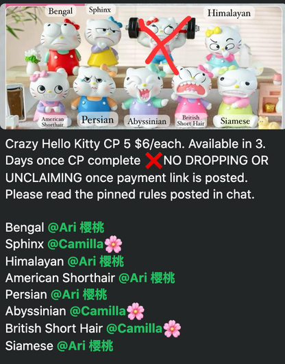 cp5 Crazy Hello Kitty 0913