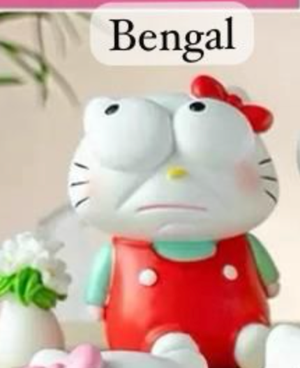 cp5 Crazy Hello Kitty 0913