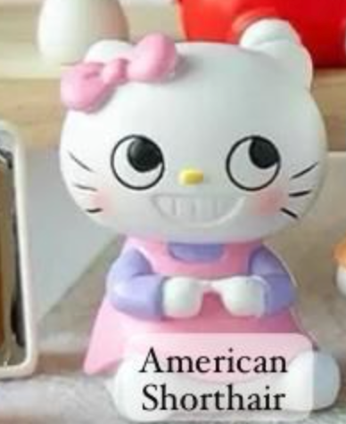 cp5 Crazy Hello Kitty 0913