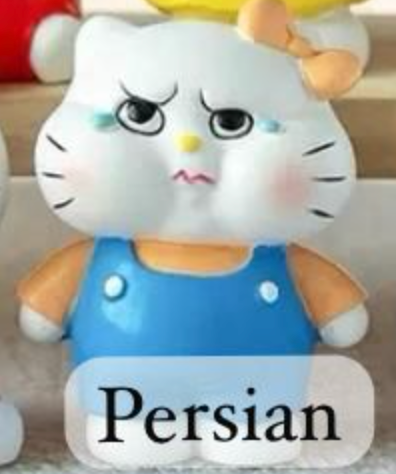 cp5 Crazy Hello Kitty 0913