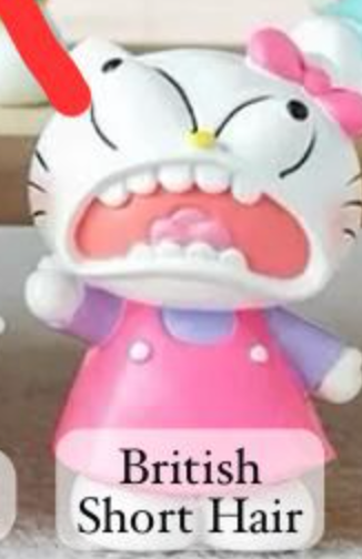 cp5 Crazy Hello Kitty 0913