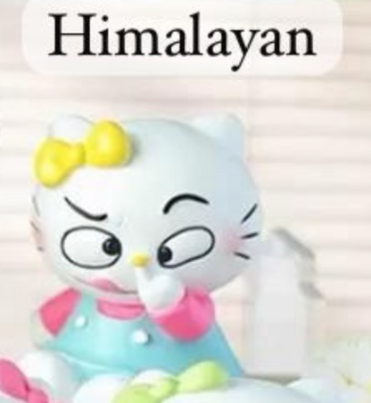 cp5 Crazy Hello Kitty 0913